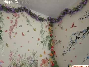 WebCam for aliceriverscam